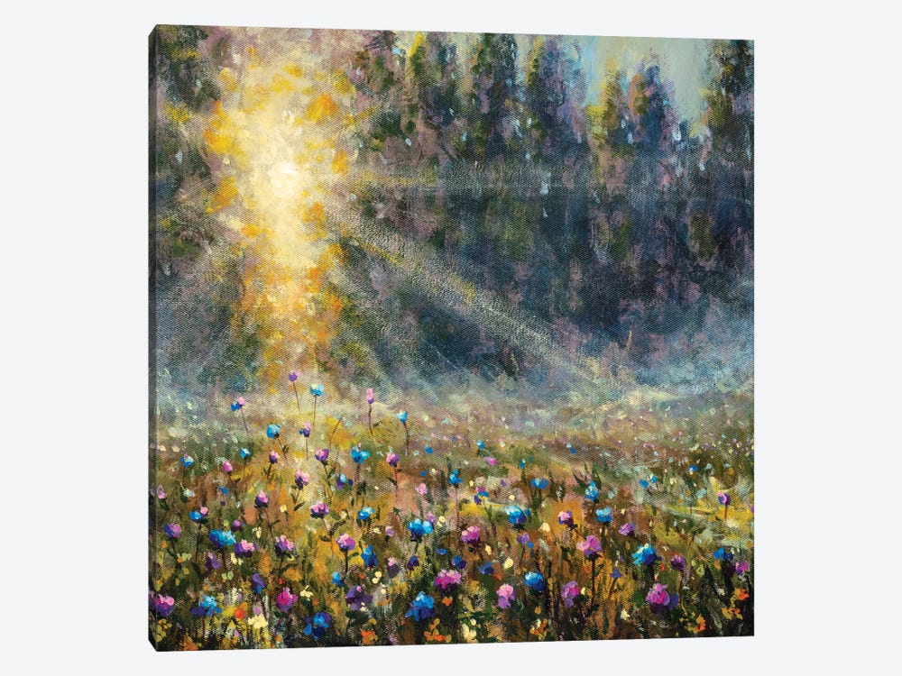 Meadow At Dawn by Valery Rybakow 1-piece Canvas Art Print