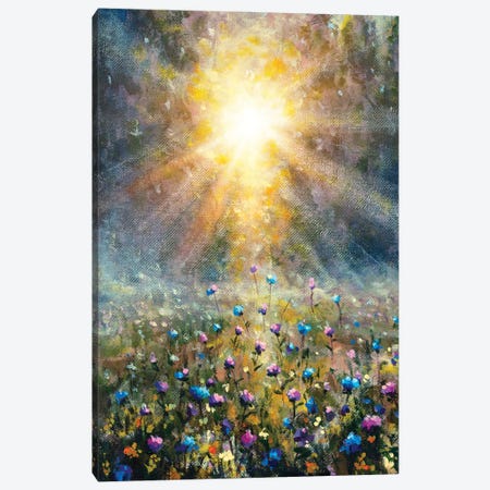 Wildflower Field During Sunrise Canvas Print #VRY571} by Valery Rybakow Canvas Art