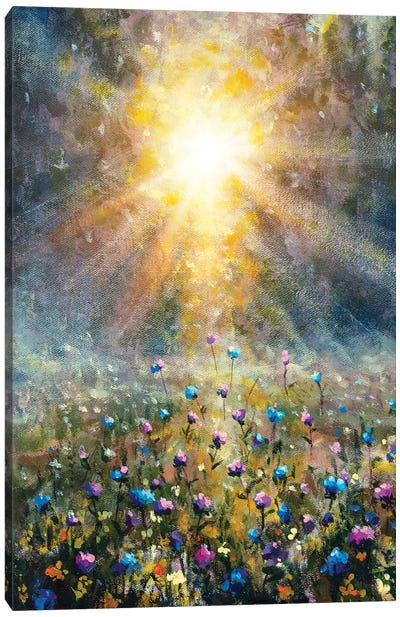 Wildflower Field During Sunrise Canvas Art Print - Valery Rybakow