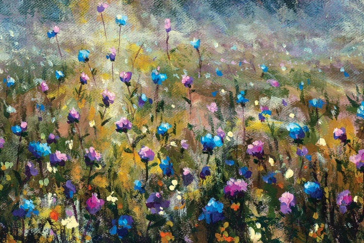 Summer Field Landscape With Blue Pink Flowers