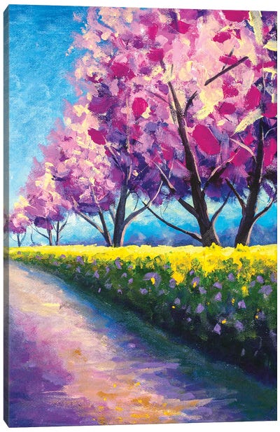 Wonderful Scenic Park With Rows Of Blooming Cherry Sakura Trees Canvas Art Print - Cherry Blossom Art