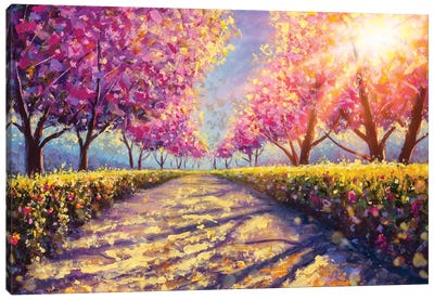 Blossoming Alley Of Pink Sakura I Canvas Art Print - Blossom Art