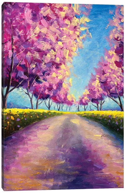 Blossoming Alley Of Pink Sakura II Canvas Art Print - Cherry Blossom Art