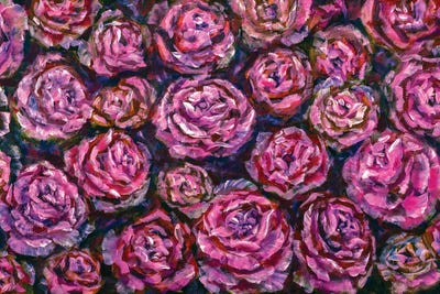 Fuchsia Peonies & Roses by Valery Rybakow canvas print