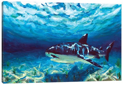 King Of The Ocean Canvas Art Print - Shark Art