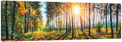 Gorgeous Spring Forest Landscape Canvas Art Print - Forest Art
