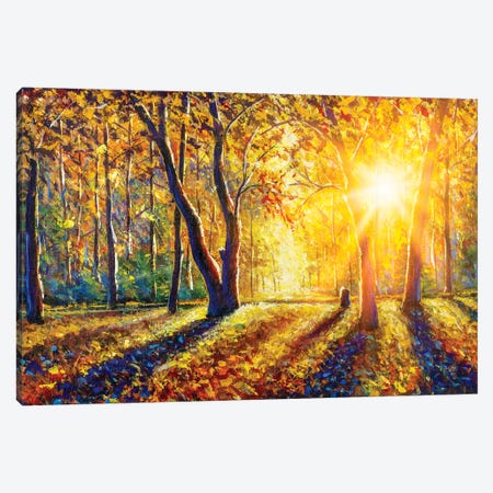 Gorgeous Autumn Forest Canvas Print #VRY581} by Valery Rybakow Canvas Art Print