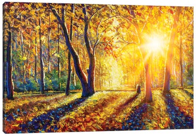 Gorgeous Autumn Forest Canvas Art Print - Valery Rybakow