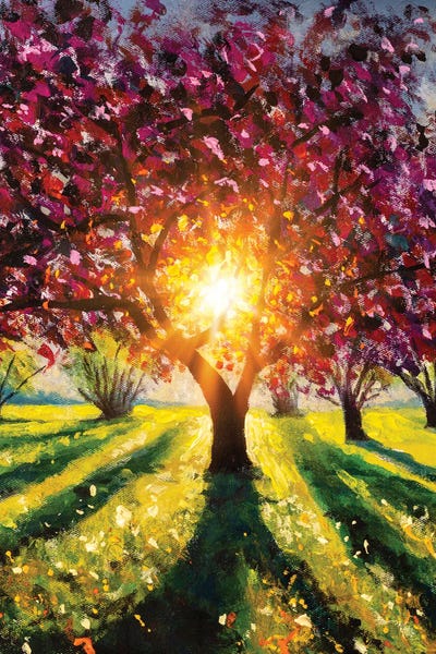 Valery Rybakow: Flowering Blooming Purple Sakura Tree, Rays Of Sun by Valery Rybakow