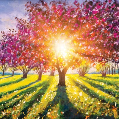 Spring Landscape With Flowering Trees And Colorful Sunny Green Meadow by Valery Rybakow canvas print