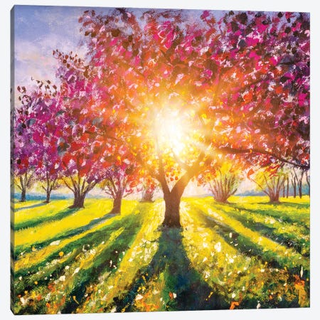Spring Landscape With Flowering Trees And Colorful Sunny Green Meadow Canvas Print #VRY593} by Valery Rybakow Canvas Wall Art