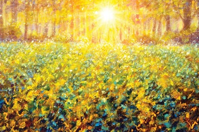 Sunset Over A Green Forest Meadow by Valery Rybakow canvas print