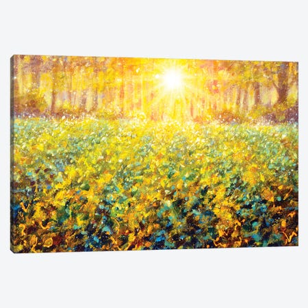Sunset Over A Green Forest Meadow Canvas Print #VRY594} by Valery Rybakow Art Print