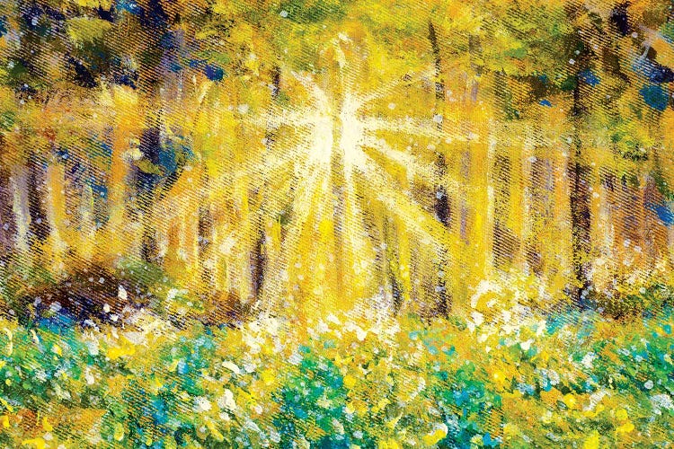 Beautiful Sun Rays In Forest Field