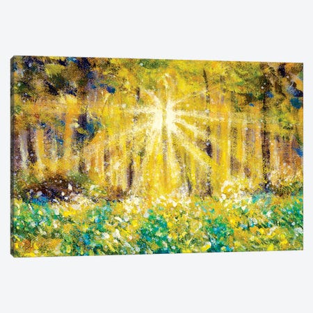 Beautiful Sun Rays In Forest Field Canvas Print #VRY595} by Valery Rybakow Art Print