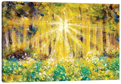 Beautiful Sun Rays In Forest Field Canvas Art Print - Valery Rybakow