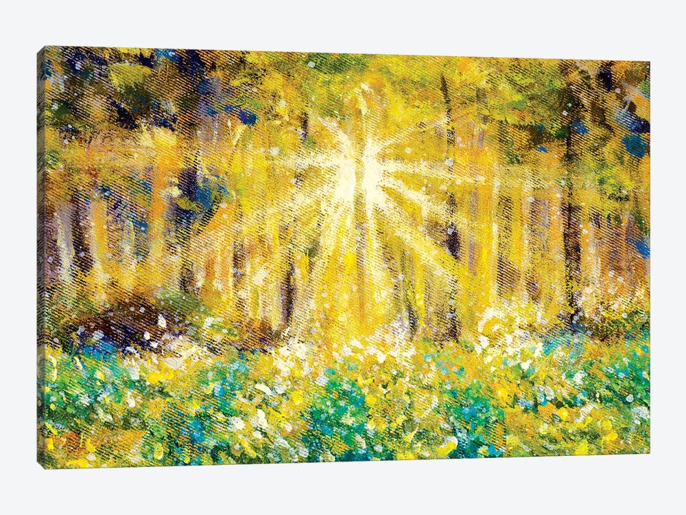 Beautiful Sun Rays In Forest Field by Valery Rybakow 1-piece Canvas Wall Art