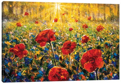 Red Poppy Field Canvas Art Print - Valery Rybakow