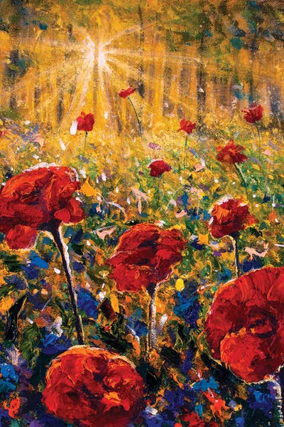 Summer Red Poppies Field Of Flowers