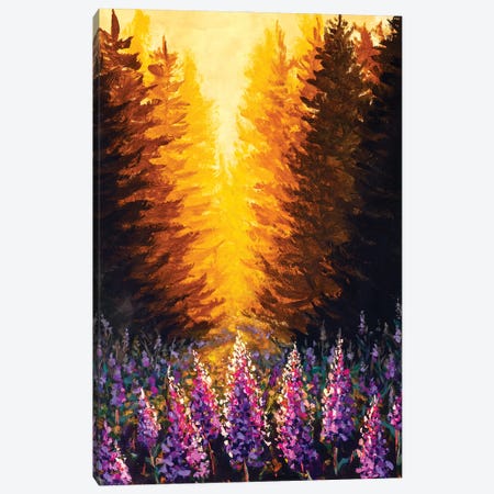Beautiful Pink Purple Flowers Ivan-Tea Fireweed At Sunset In Forest Canvas Print #VRY601} by Valery Rybakow Canvas Artwork