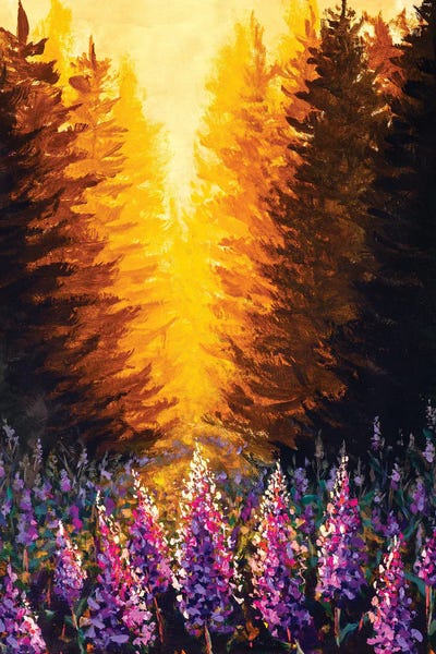 Pine Trees: Beautiful Pink Purple Flowers Ivan-Tea Fireweed At Sunset In Forest by Valery Rybakow