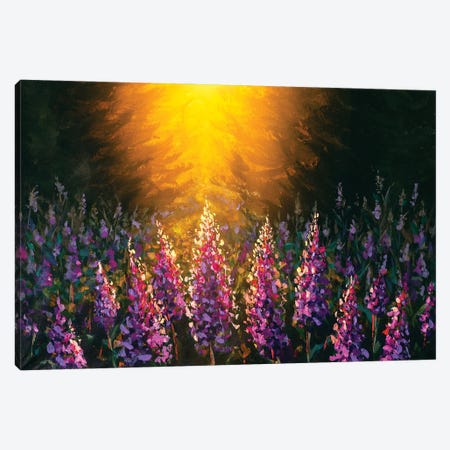 Beautiful Sunset Over A Field Flowers Canvas Print #VRY603} by Valery Rybakow Canvas Art