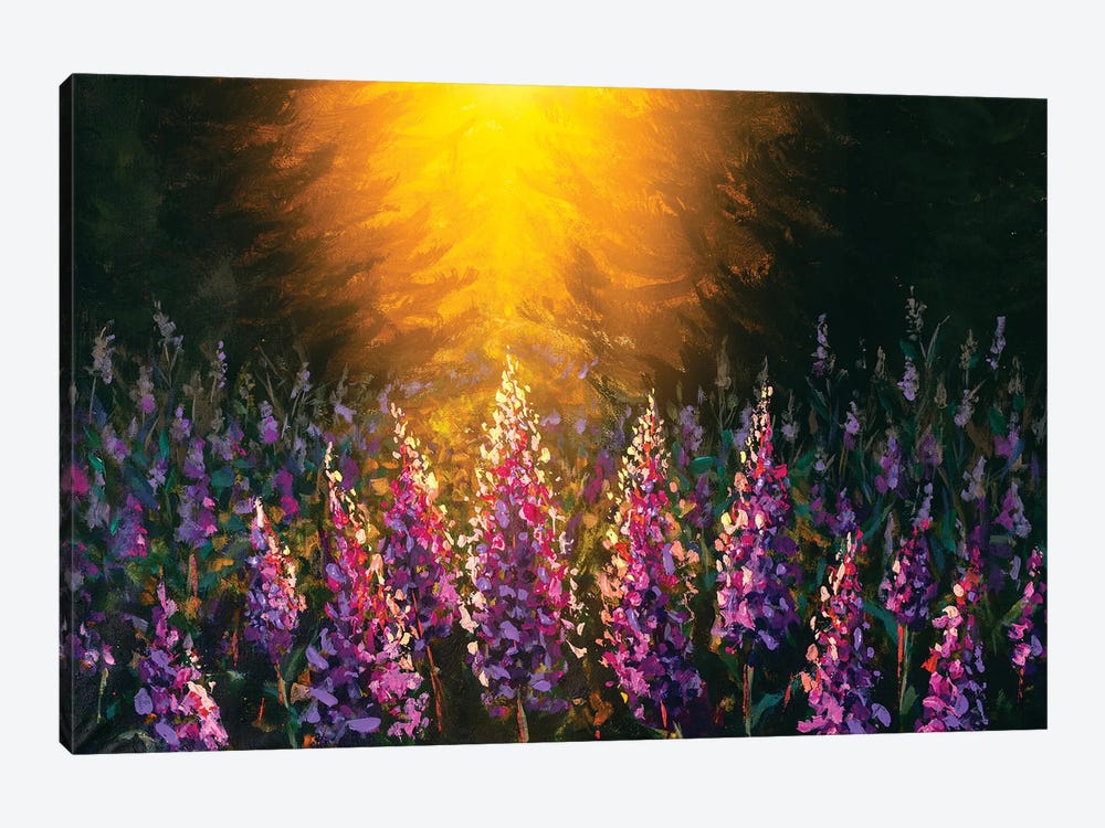 Beautiful Sunset Over A Field Flowers by Valery Rybakow 1-piece Canvas Art Print