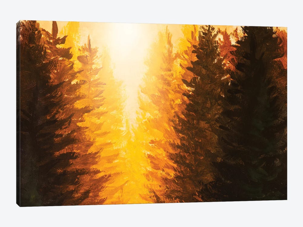 Sunrise Over A Fir Forest by Valery Rybakow 1-piece Canvas Art