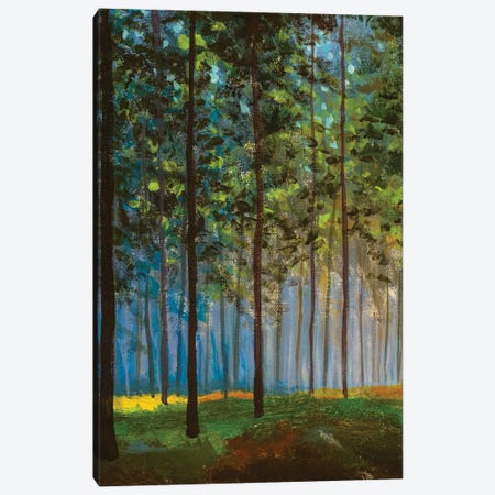 Spring Forest Landscape Canvas Print #VRY608} by Valery Rybakow Canvas Art