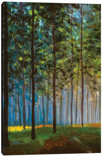 Spring Forest Landscape Canvas Art Print - Valery Rybakow