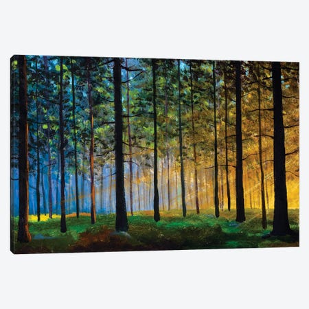 Sun Creeping Through A Forest Landscape Canvas Print #VRY609} by Valery Rybakow Canvas Artwork