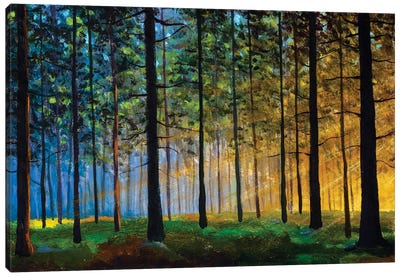 Sun Creeping Through A Forest Landscape Canvas Art Print - Valery Rybakow