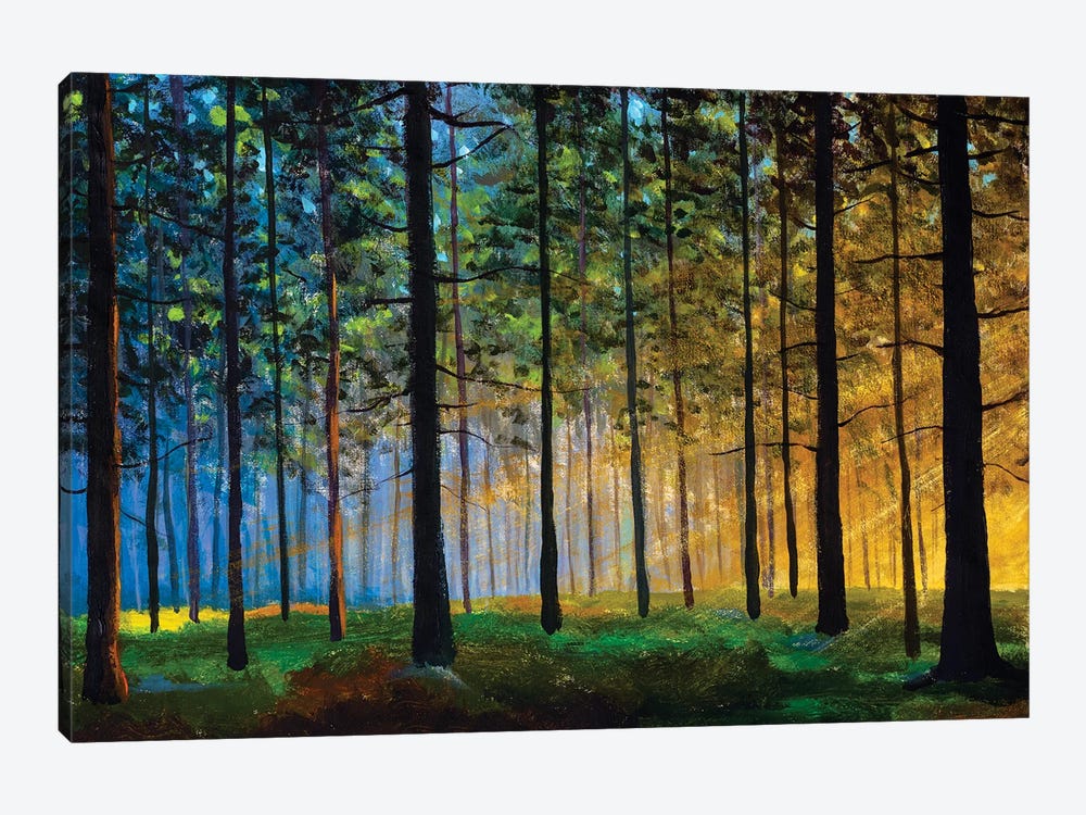 Sun Creeping Through A Forest Landscape by Valery Rybakow 1-piece Canvas Print