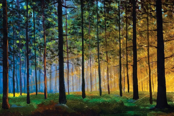 Valery Rybakow: Sun Creeping Through A Forest Landscape by Valery Rybakow