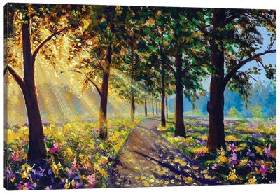 Sunny Forest Landscape Art Canvas Art Print - Valery Rybakow