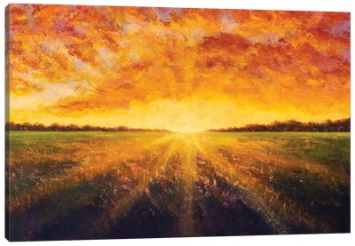 Cloudy Sunset Over A Field Canvas Art Print - Valery Rybakow