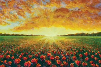 Cloudy Sunset Over A Red Poppy Field by Valery Rybakow framed wall art