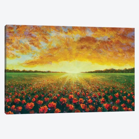 Cloudy Sunset Over A Red Poppy Field Canvas Print #VRY623} by Valery Rybakow Canvas Artwork
