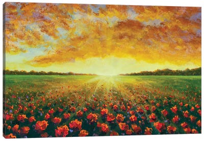 Cloudy Sunset Over A Red Poppy Field Canvas Art Print - Valery Rybakow