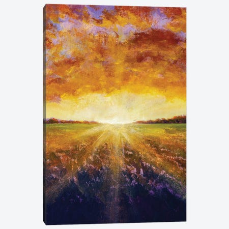 Rural Sunset Canvas Print #VRY628} by Valery Rybakow Canvas Art