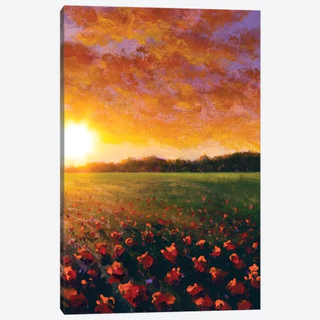 A Red Poppy Field In Summer Canvas Print #VRY629} by Valery Rybakow Canvas Art