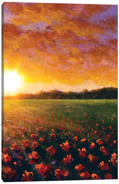 A Red Poppy Field In Summer Canvas Art Print - Valery Rybakow