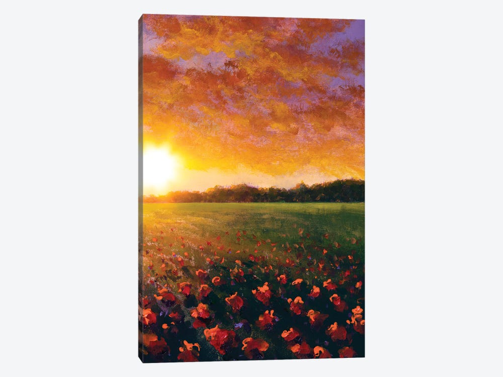 A Red Poppy Field In Summer by Valery Rybakow 1-piece Canvas Art Print