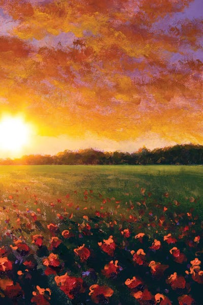 A Red Poppy Field In Summer