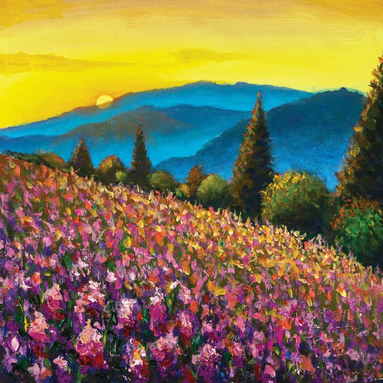Beautiful Field Of Flowers II