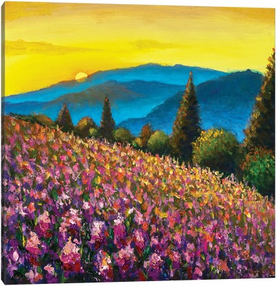 Beautiful Field Of Flowers Canvas Art Print - Cypress Tree Art