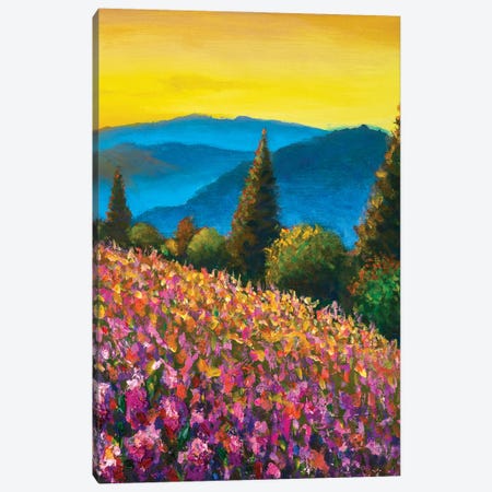 Violet & Pink Lavender Field With Blue Mountains Canvas Print #VRY642} by Valery Rybakow Canvas Art
