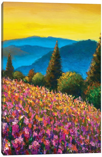Violet & Pink Lavender Field With Blue Mountains Canvas Art Print - Cypress Tree Art