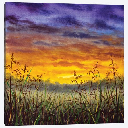 Ainting Of Grass Summer Field Against The Background Of Sky At Sunset Dawn Canvas Print #VRY645} by Valery Rybakow Canvas Art Print