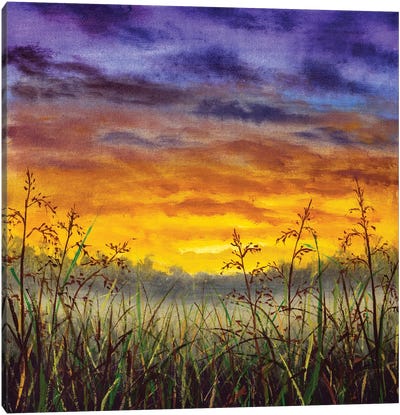 Ainting Of Grass Summer Field Against The Background Of Sky At Sunset Dawn Canvas Art Print - Color Fields